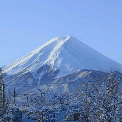 种族争霸手游腾讯版下载